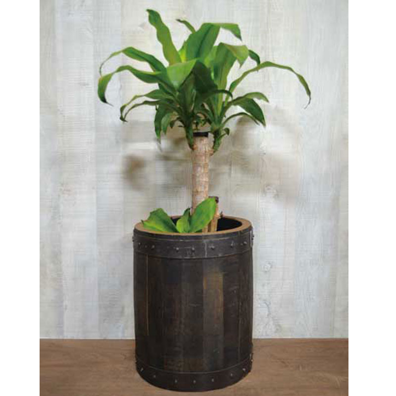 ウイスキー樽材使用の300φプランター　スリム　ウイスキー樽物語