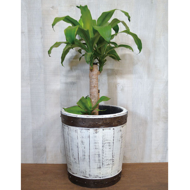 ウイスキー樽材使用の400φプランター　ワイド　ウイスキー樽物語