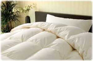 【羽毛布団】セミダブル　ポーランド産 ホワイトグースダウン95%  (肌掛/170×230cm)