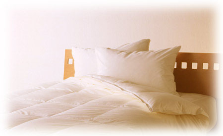 【羽毛布団】セミダブル　ポーランド産 ホワイトマザーグースダウン95% (肌掛/170×230cm)