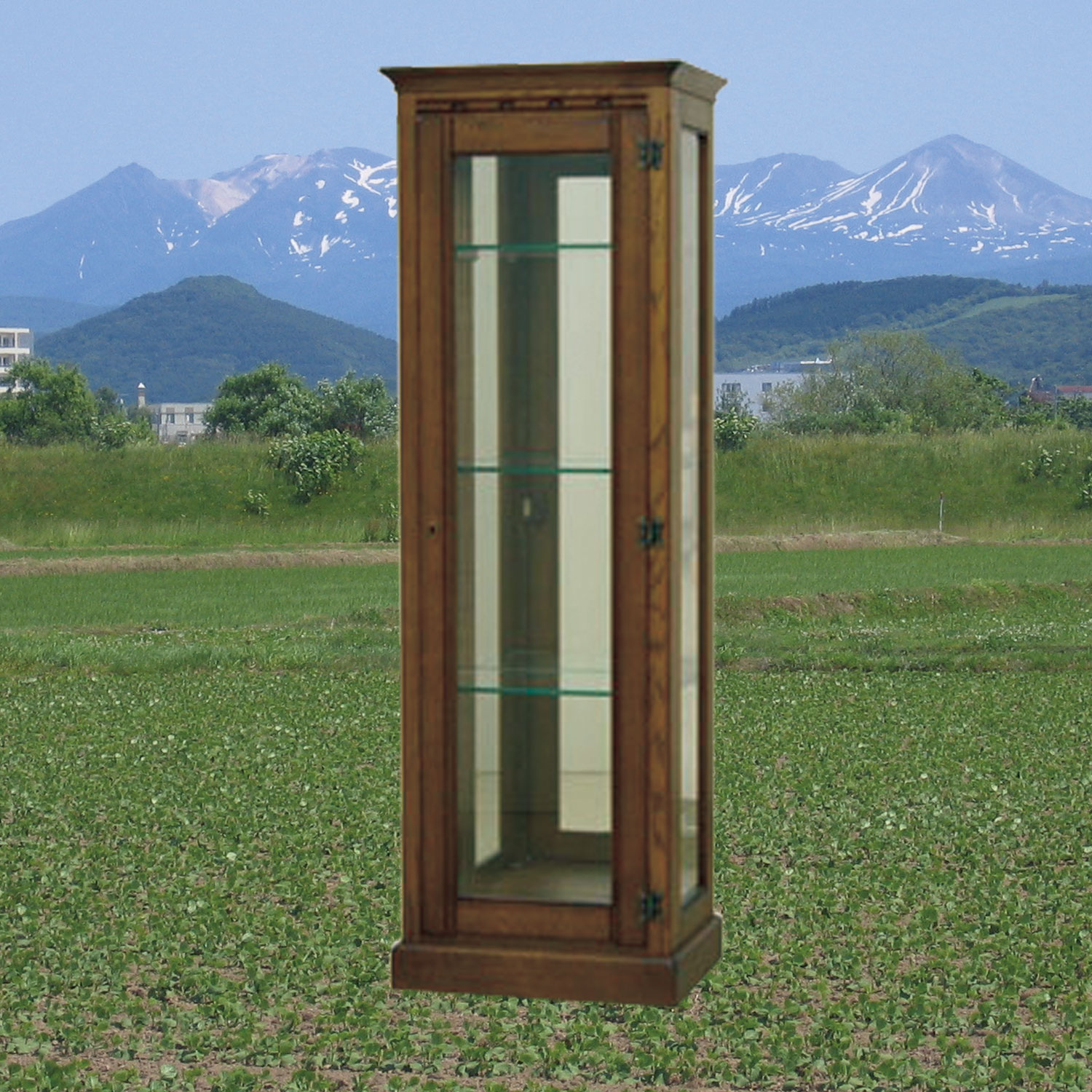 キュリオ50　北海道匠の家具　カンザス