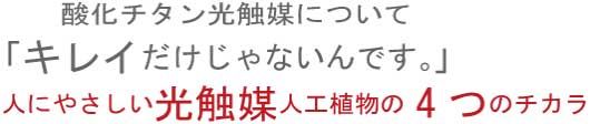 きれいだけではないんです。光触媒人工植物の4つの力