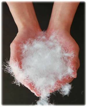 羽毛(うもう・ダウン)