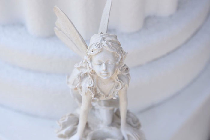 薔薇の妖精 [Y]の写真