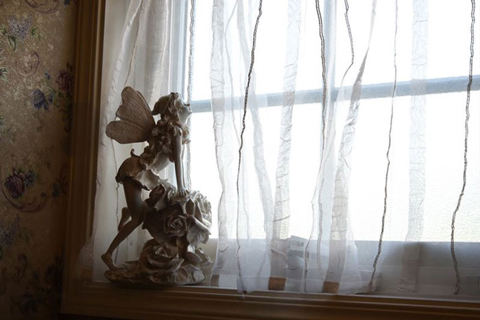 薔薇の妖精 [Y]の写真