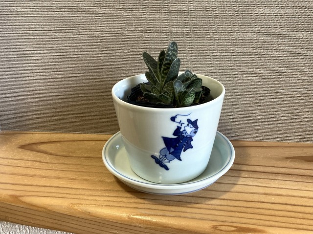 フラワーポットの写真