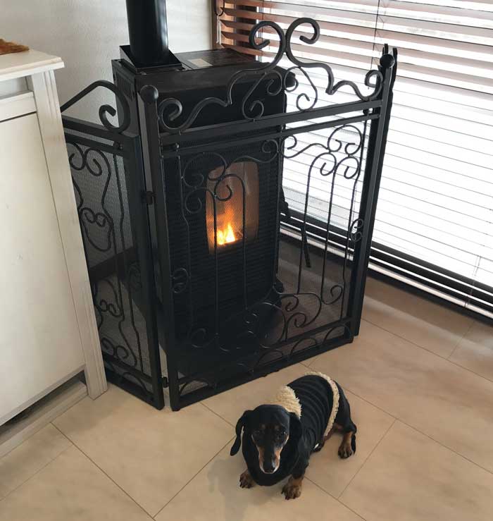 暖炉とダックス君