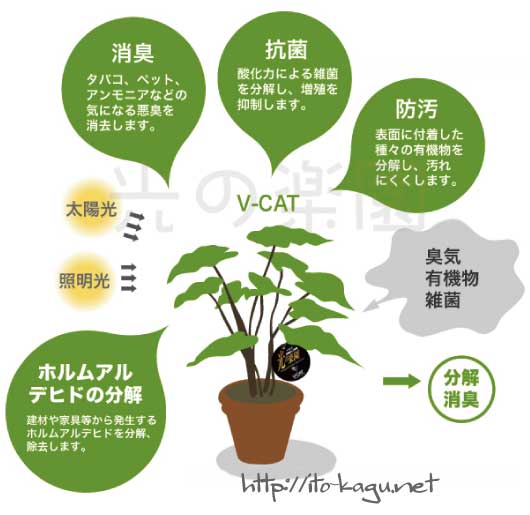 光触媒人工植物の4つの効果
